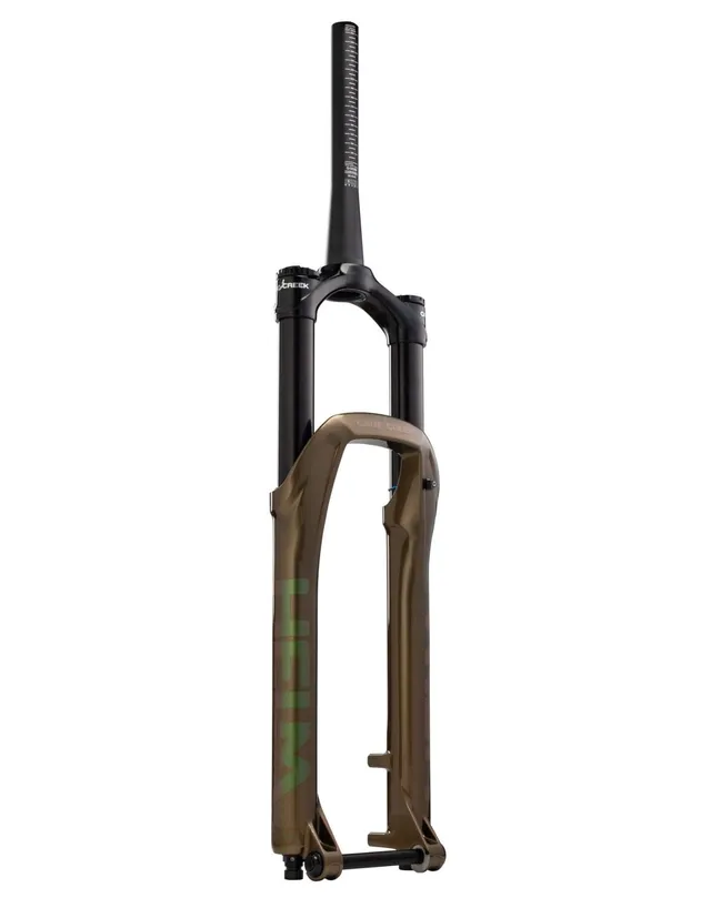 cane-creek-helm-mkii-chameleon-federgabel-29-160mm-air image 1