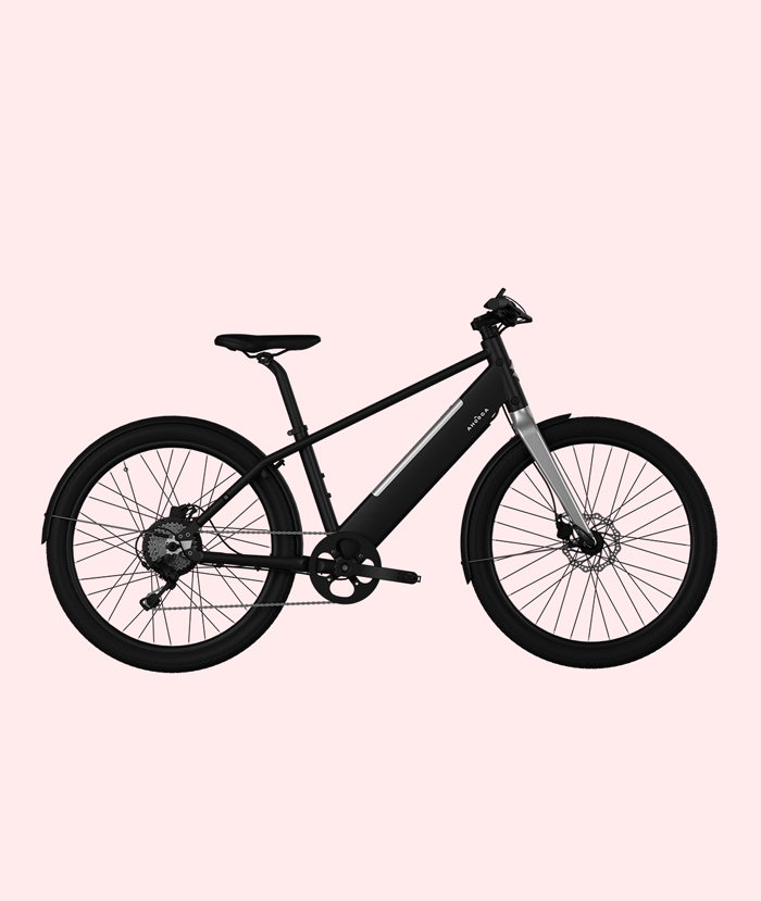 ahooga-modular-cargo-e-bike-low-step-unisex-mit-motor image 2